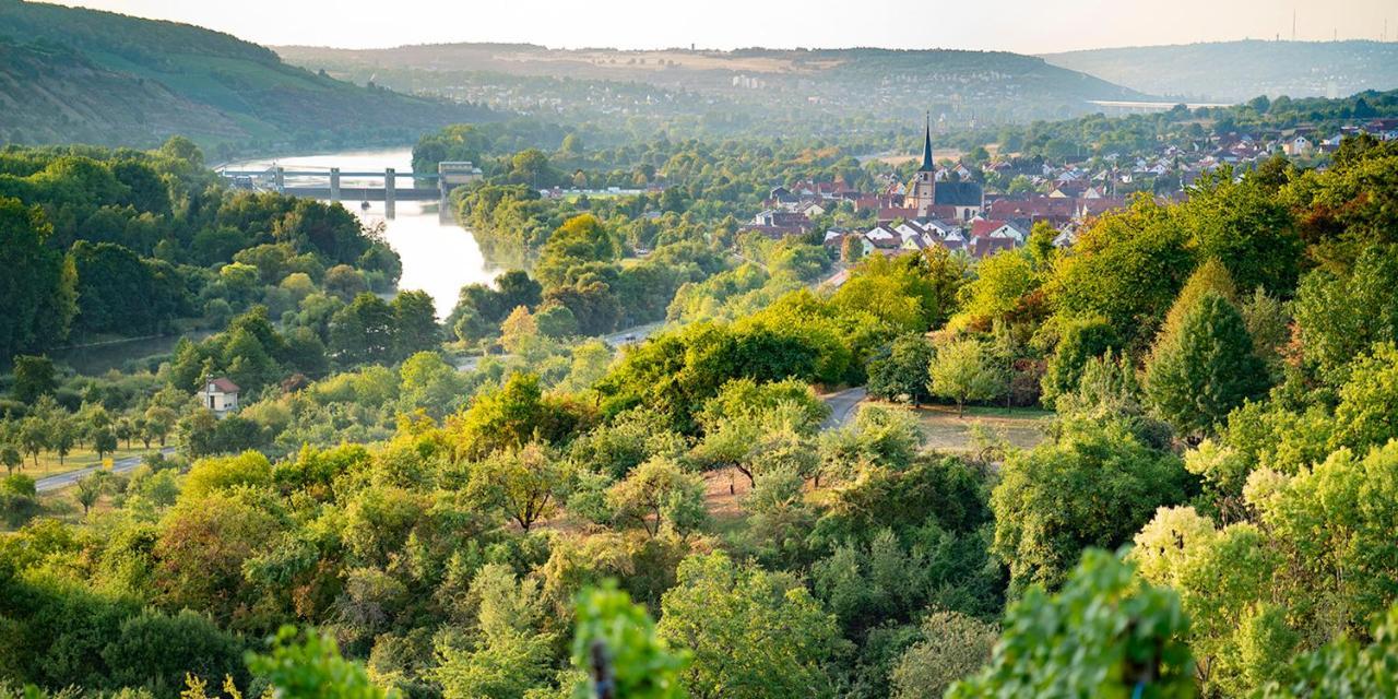 Weingut Martin Blass Erlabrunn  Exteriör bild